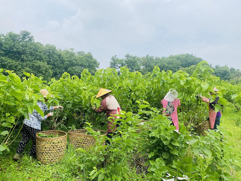 /uploads/image/2024/06/14/08168be066ed051d1fa0d9f7a80176f2.jpg 1.jpg