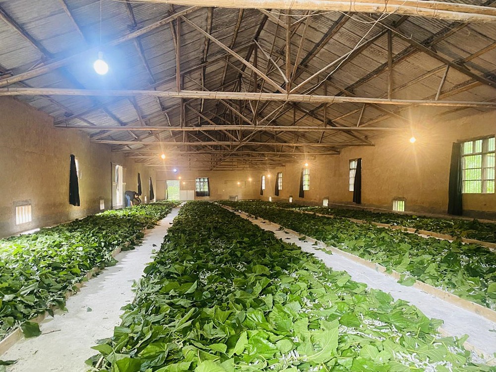 /uploads/image/2024/06/14/33f21bb7ff7f946737e7bdddd28e68fd.jpg 2.jpg