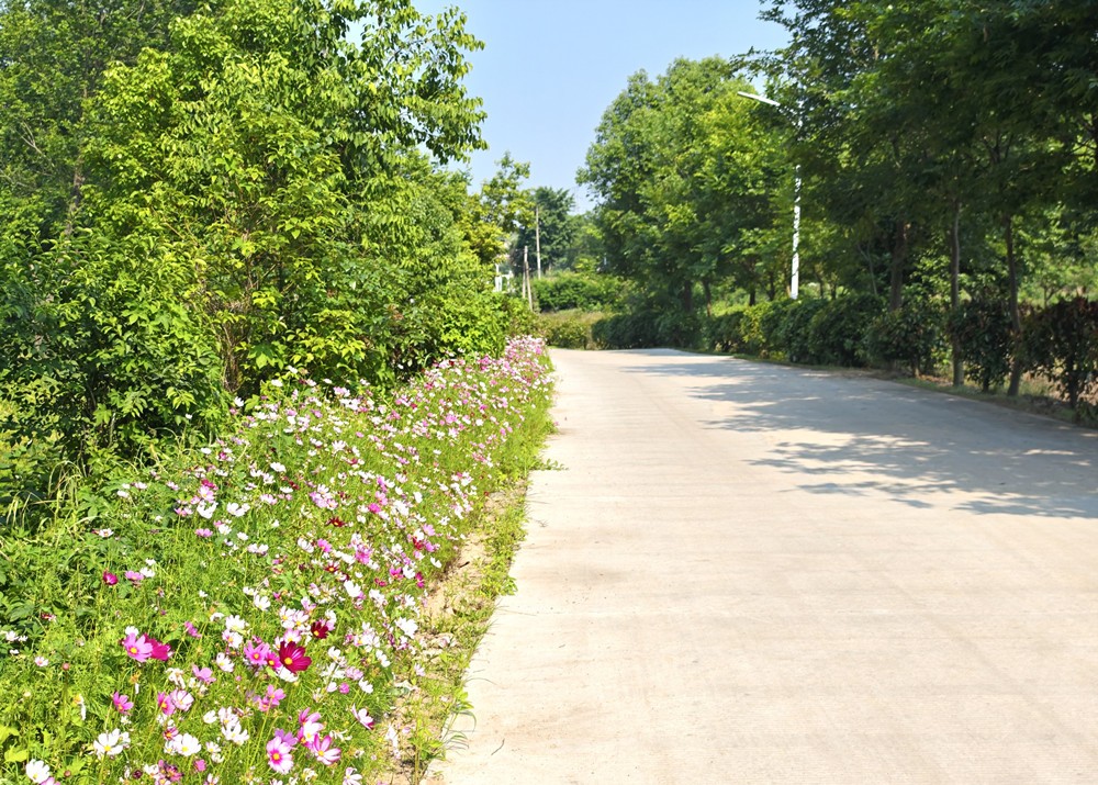 /uploads/image/2024/06/19/6bd81c3b43058c0204938af27d88861e.jpg 3.jpg