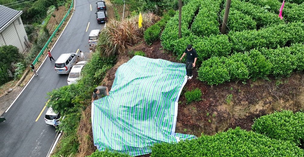 /uploads/image/2024/06/19/a7008f62d501c148dd65f05110d62a63.jpg 微信图片_20240619142018.jpg