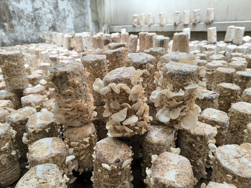 /uploads/image/2024/06/20/52ab93c05ffeab9ac1d563c2c96f1586.jpg 2.jpg