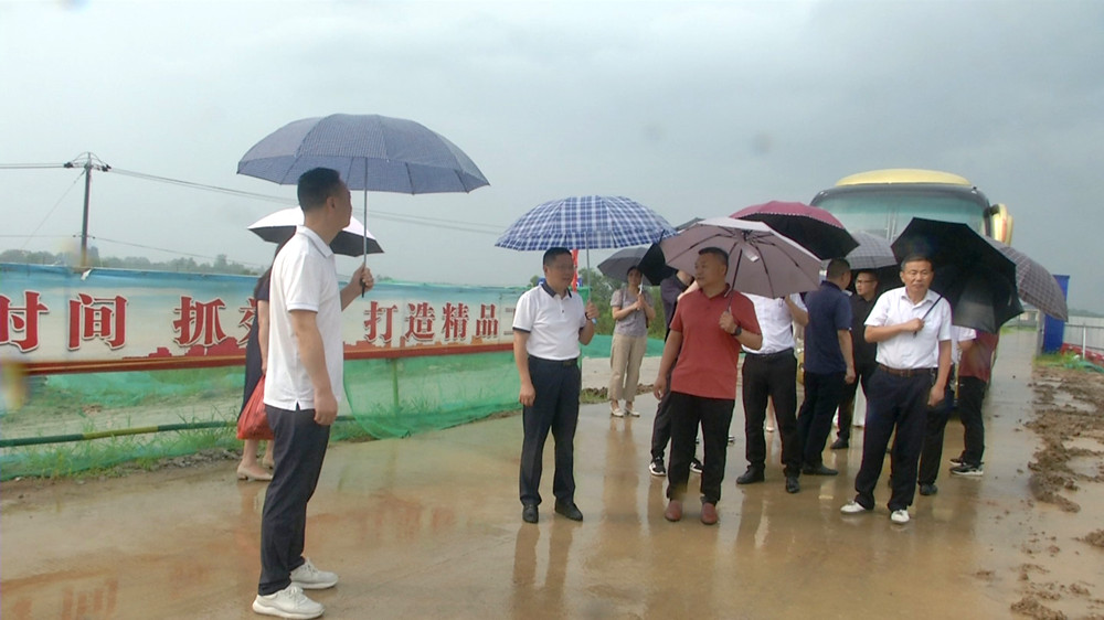 /uploads/image/2024/06/24/7d7cfe3848bb9b837fe245db7feec133.jpg 现场调研.jpg