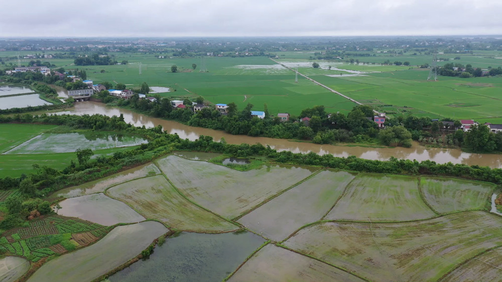 安徽桐城：开足马力排涝 确保良田稳产丰收[00_00_03][20240622-145416].jpg