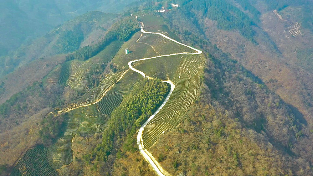 /uploads/image/2024/07/03/5b78cfe57256d92e0b0dd96aef28e030.jpg 4.jpg