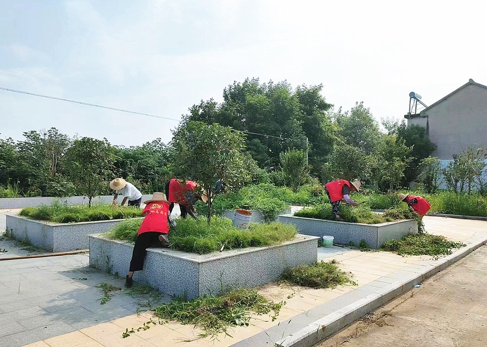 /uploads/image/2024/07/23/39fa6c0dd37d79a2a9b4eaa1912e0bc1.jpg 11.jpg