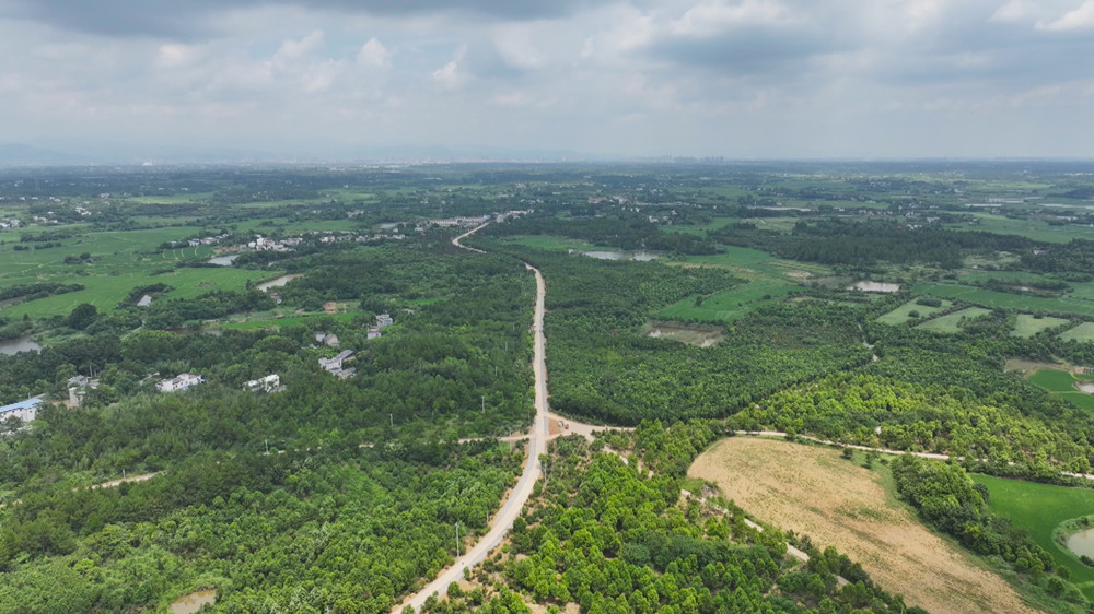 /uploads/image/2024/08/02/db2a1fabee21bd013ea7ef3dc15cdfa5.jpg 图为桐城市一条条乡村公路穿村入户 四通八达.jpg