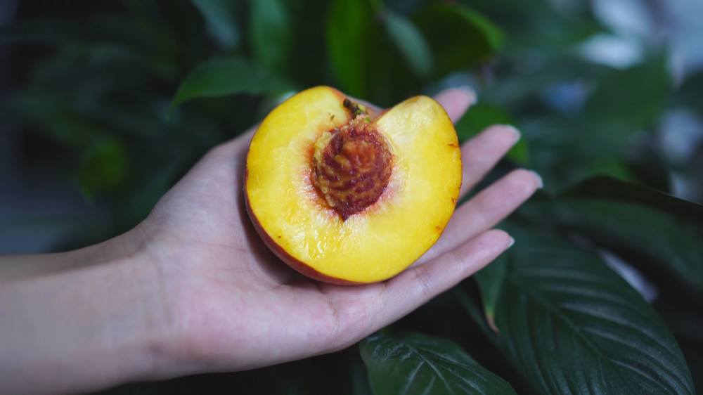 /uploads/image/2024/08/02/c3ec6dd122f07fb7d192266bfe27ee49.jpg 桃子3_副本.jpg