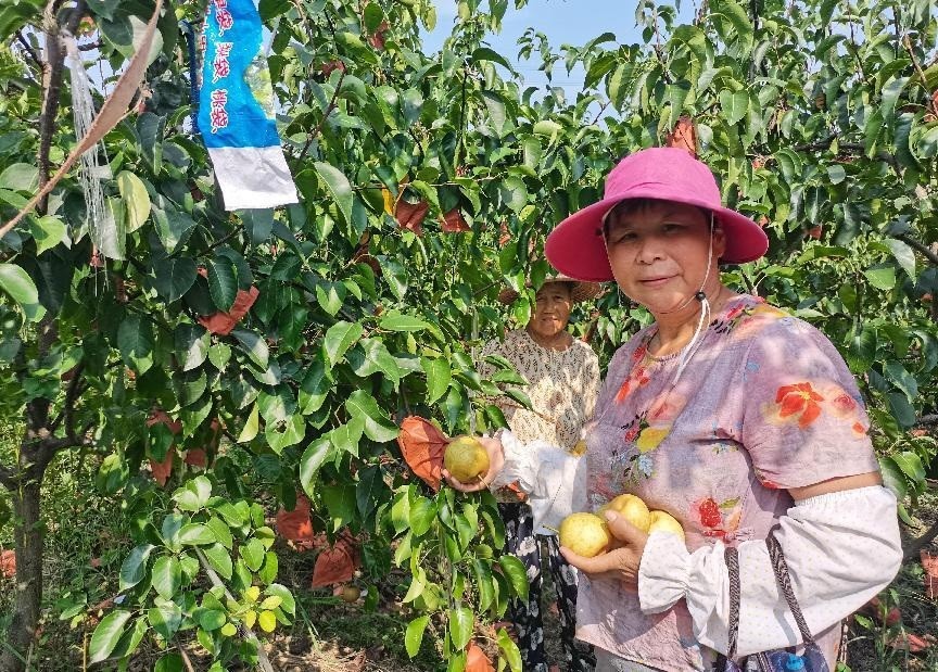 /uploads/image/2024/08/06/14d3ed21cef8e1e08d96f4767f056bf3.jpg 4.jpg