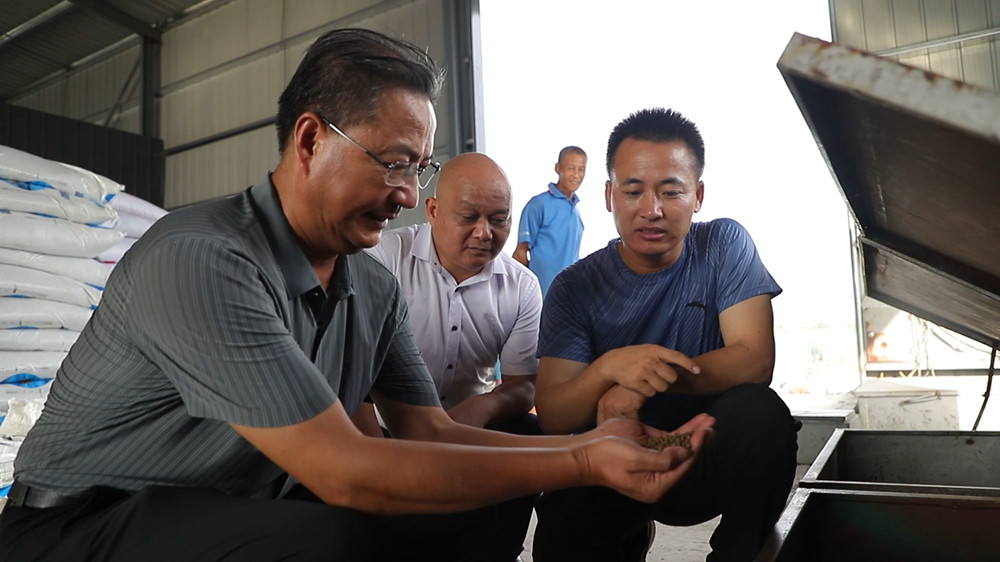 安徽桐城： 现代化养殖鮰鱼 探索致富道路[00_05_15][20240814-110203].jpg