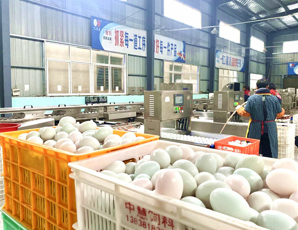 /uploads/image/2024/08/14/b63c7ef2b16cb4e4e1fa47368812f36d.jpg 4.jpg