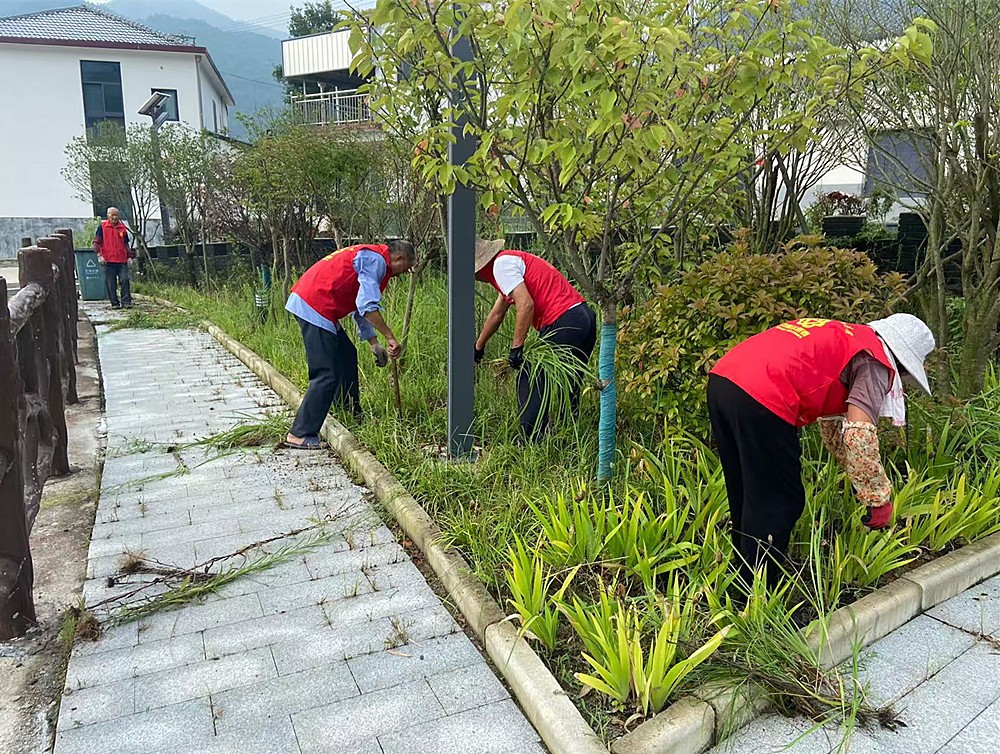 /uploads/image/2024/08/19/df2238e95891ea68250a1f685189d979.jpg 2.jpg