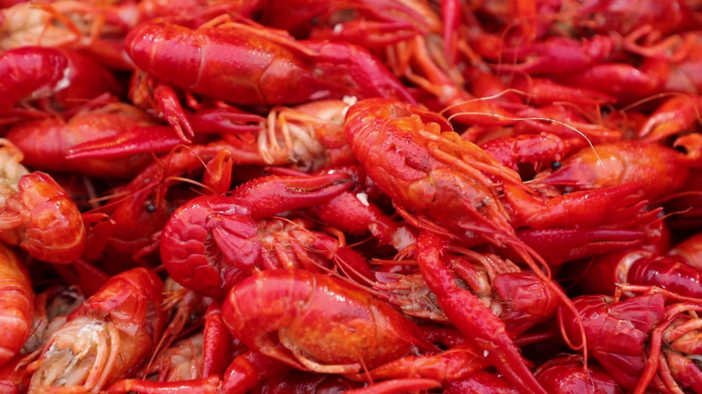 安徽桐城：举办龙虾节 点亮乡村“夜经济”[00_03_50][20240823-113955].jpg