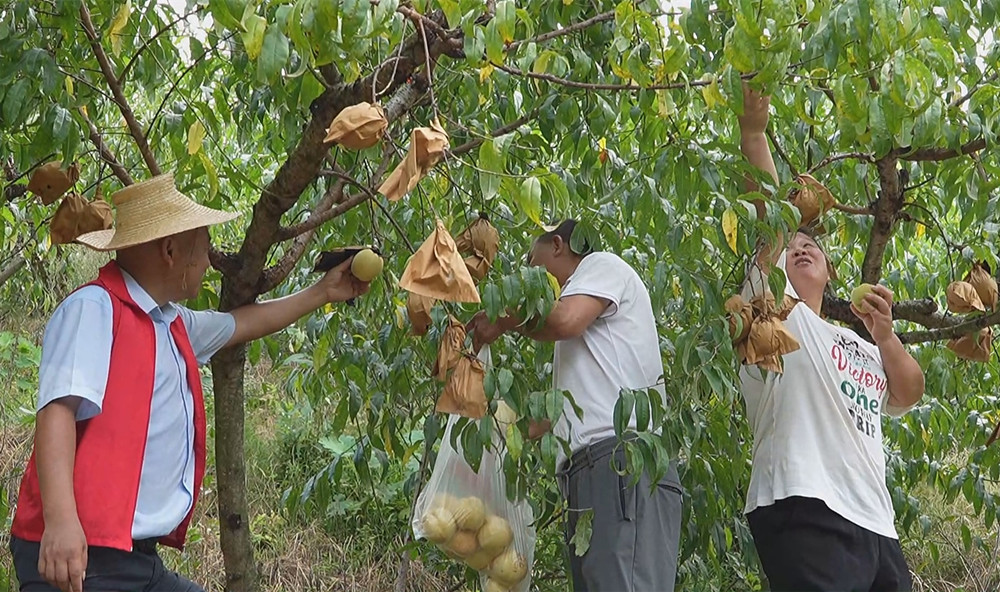 /uploads/image/2024/09/09/c85051ee4f6a1b12e7a934151cd95546.jpg 1.jpg