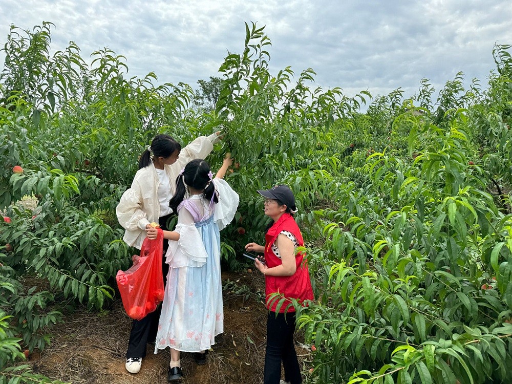 /uploads/image/2024/09/10/01f4ec16bf19dfa3baa9107ad7269645.jpg 1.jpg