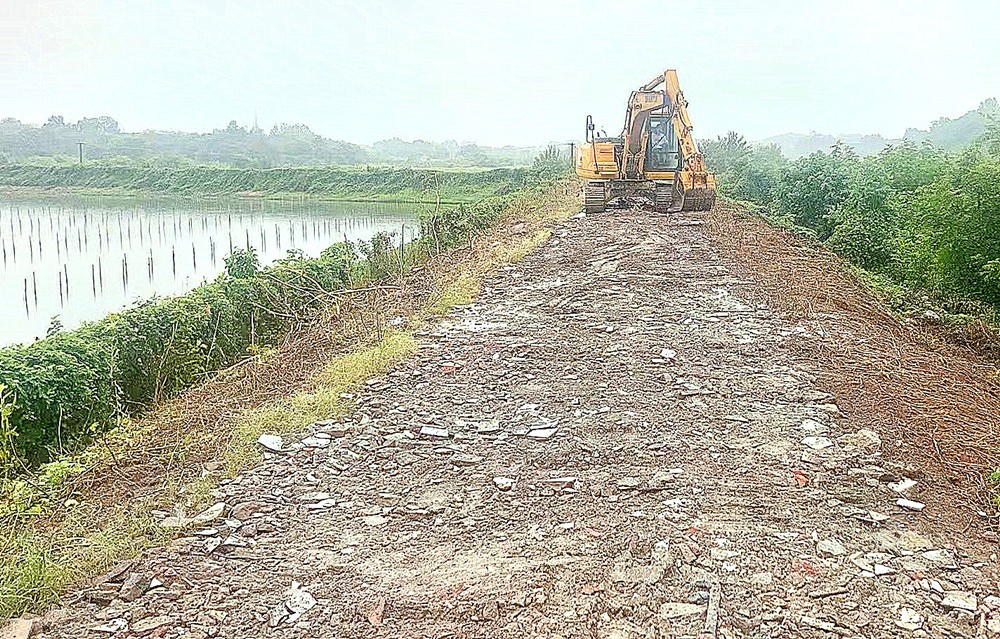 /uploads/image/2024/09/19/1c90a1c77320e653007d60a654d20f76.jpg 1.jpg