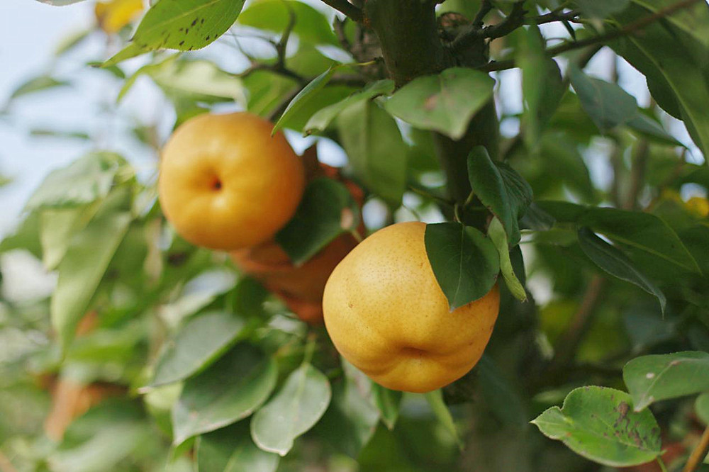 /uploads/image/2024/09/20/3758c3d0e37742422436e6f6094bdbcf.jpg 1.jpg