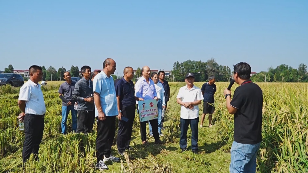 /uploads/image/2024/09/25/8cc43108cb41d6134fc0e203e2f5c7c9.jpg 农机.jpg