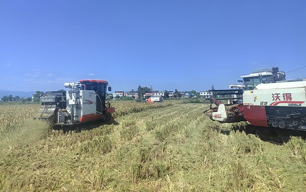 /uploads/image/2024/09/25/3c3182a147a7f228e42563eca48ad406.jpg 1.jpg