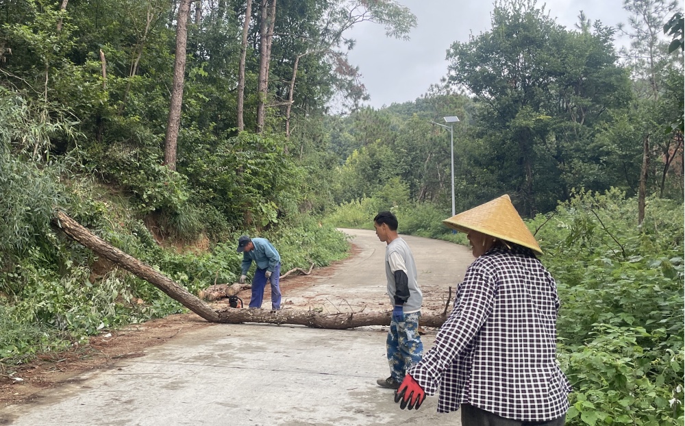 /uploads/image/2024/09/25/d48d0d7e1934dabe6d657091cc83f68d.jpg 图片1.jpg