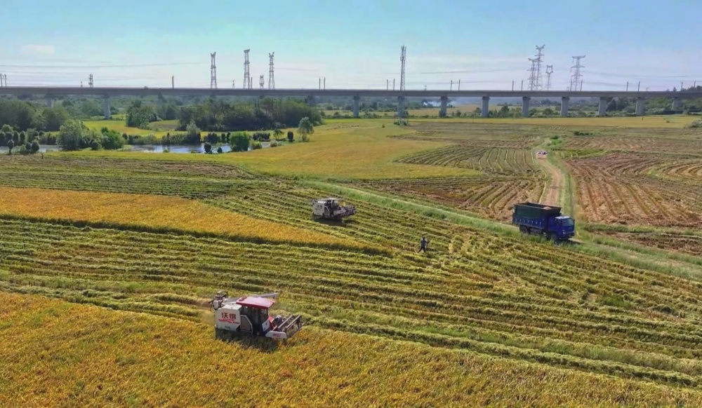 /uploads/image/2024/09/26/6a904f1f260b8d24283fc914a6e3000a.jpg 农机 (1).jpg