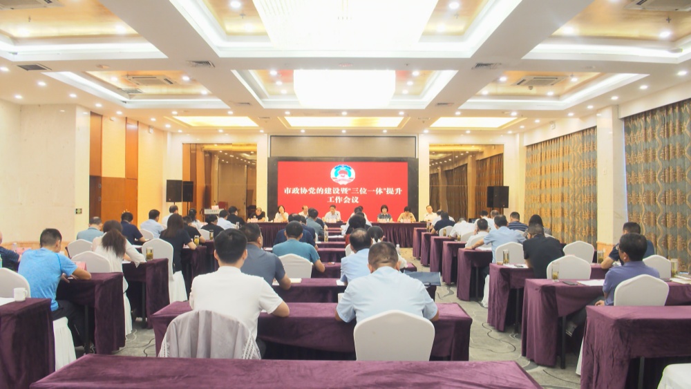 市政协会议现场_副本.jpg