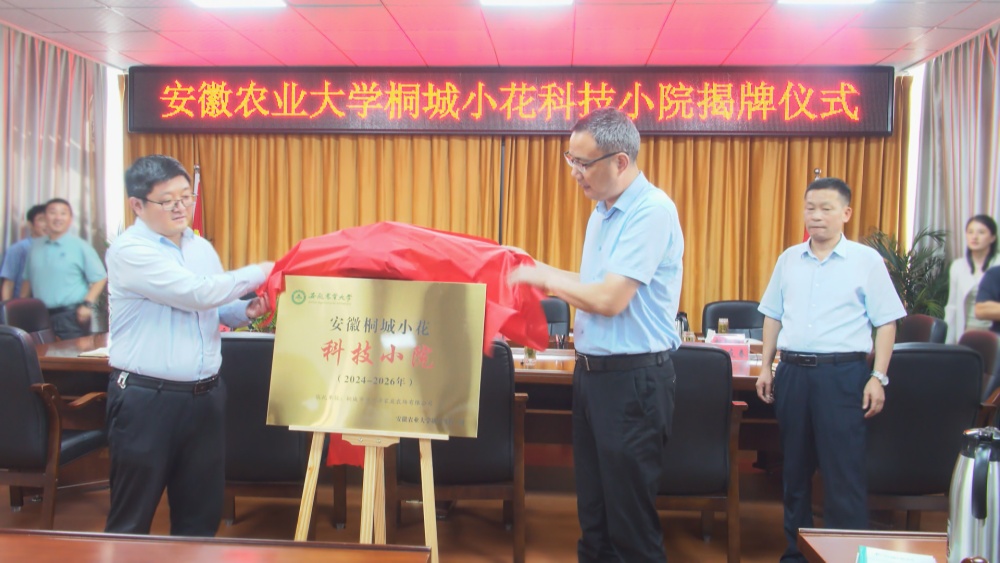 /uploads/image/2024/09/30/0146b8fd74be6bffd9b3b7b9fd989e59.jpg 揭牌.jpg