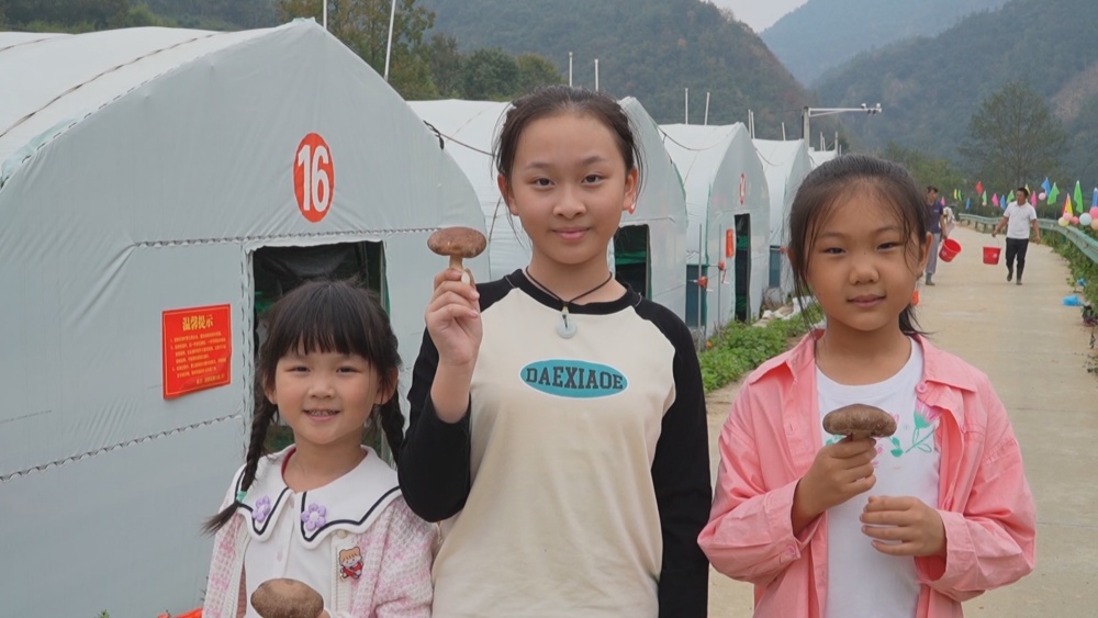 /uploads/image/2024/10/14/0a5dc681b1336ad69b57bd593809cbb7.jpg 香菇.jpg