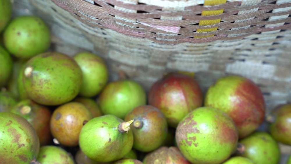 /uploads/image/2024/10/15/3259727531d93d213b7cc7eea1058810.jpg 唐湾镇油果(2).jpg