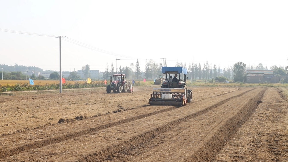 安徽桐城：召开现场会 有序推进秋收秋种（[00_01_11][20241015-095105].jpg