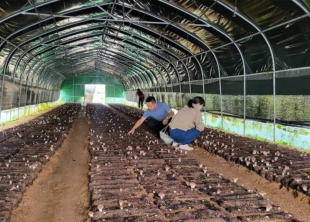 /uploads/image/2024/10/17/ba81c661ee33db1bda5ece0efc7742be.jpg 3.jpg