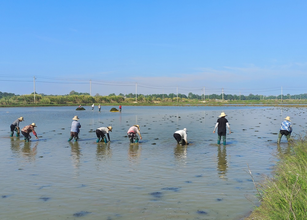 /uploads/image/2024/10/17/4cba2b017241a380545808c820b4cf86.jpg 2.jpg