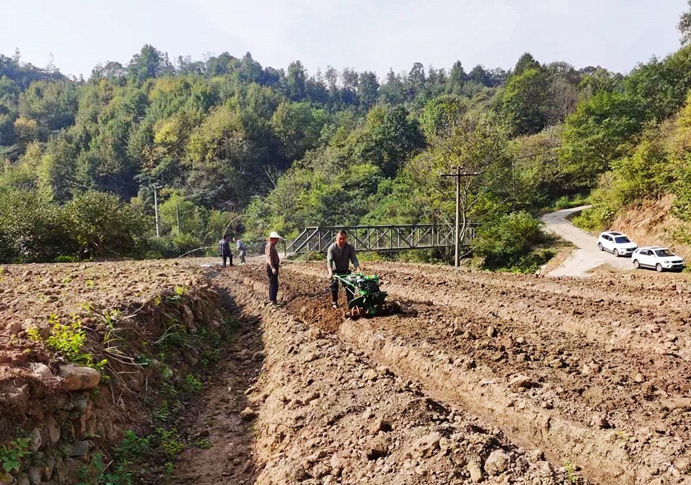 /uploads/image/2024/10/17/c5c5b2804d7e757513c7ae9e5e1ec112.jpg 4_副本.jpg