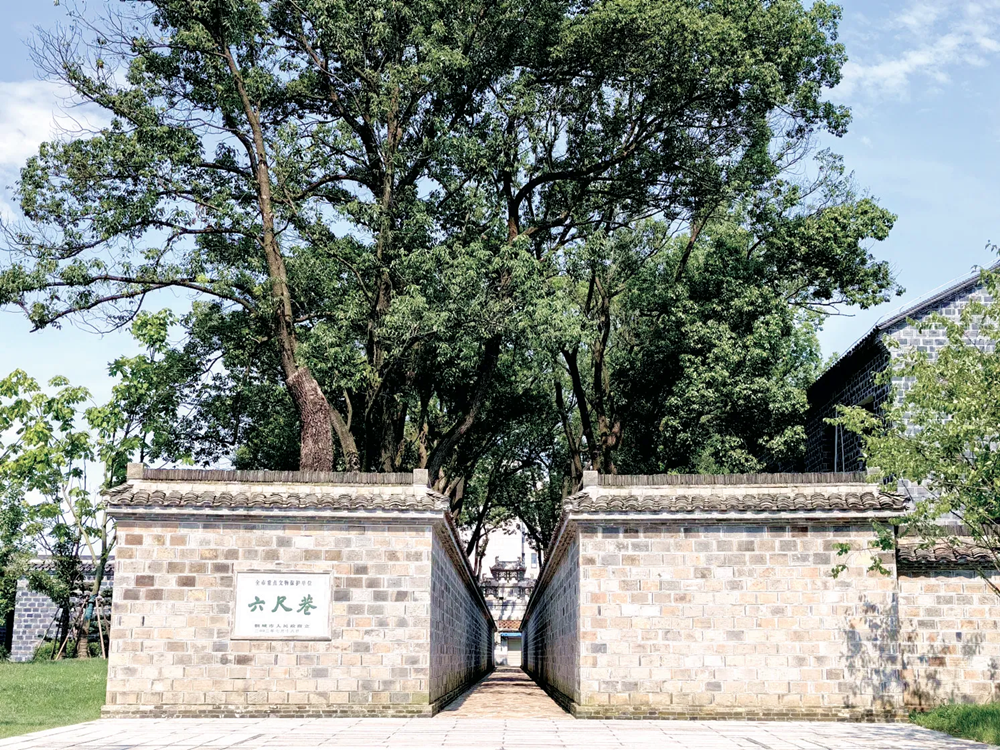 /uploads/image/2024/10/19/ee6c8cf30a1a9a1dcb80aad8d1a191c6.png 30.png