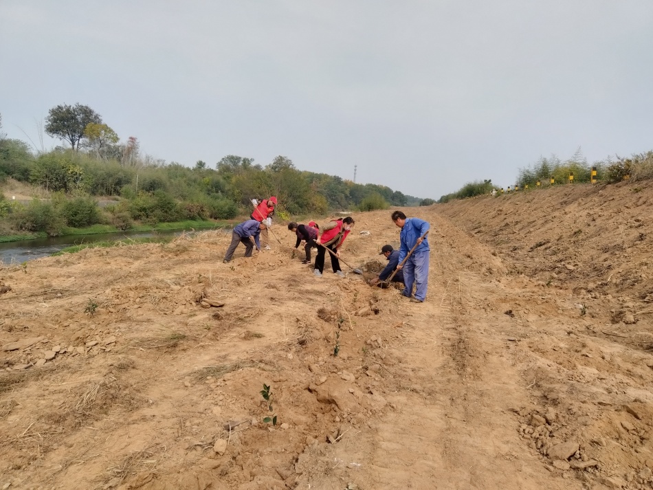 /uploads/image/2024/11/13/384de81c1d404a2ab84fe40d20a889ab.jpg e3de0e0d057ba6c59b26e12bfaa4212e.jpg