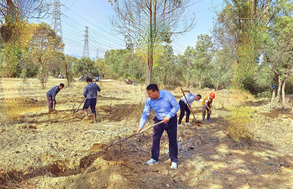 /uploads/image/2024/11/13/8d17d2468bf7da2c2b9bcc9d28857e22.jpg 1.jpg