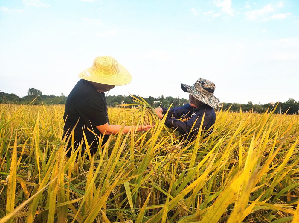 /uploads/image/2024/11/15/3ff621b67adfef8b5b9db86ebfb1f203.jpg 9.jpg