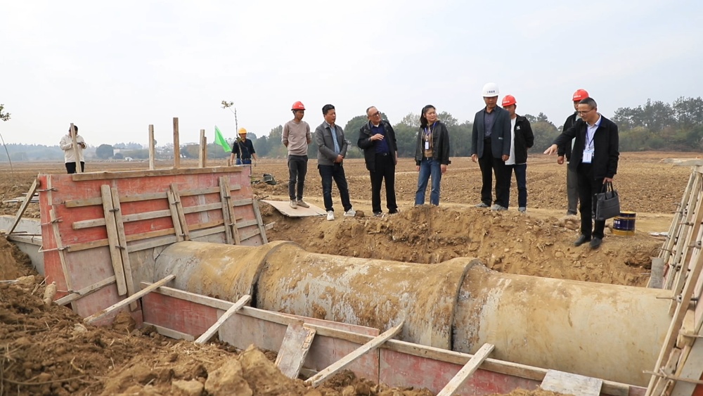 安徽桐城：监督护航高标准农田建设 守牢粮[00_05_26][20241118-112206].jpg