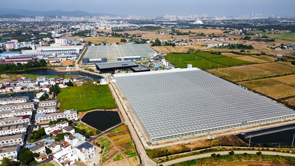 /uploads/image/2024/11/18/565abd63ac7e8c49f81c02d6f1ca9592.jpg 6.jpg