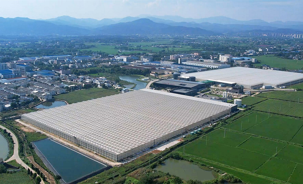 /uploads/image/2024/11/19/66f68ae5c6196990828020889a524f21.jpg 4.jpg