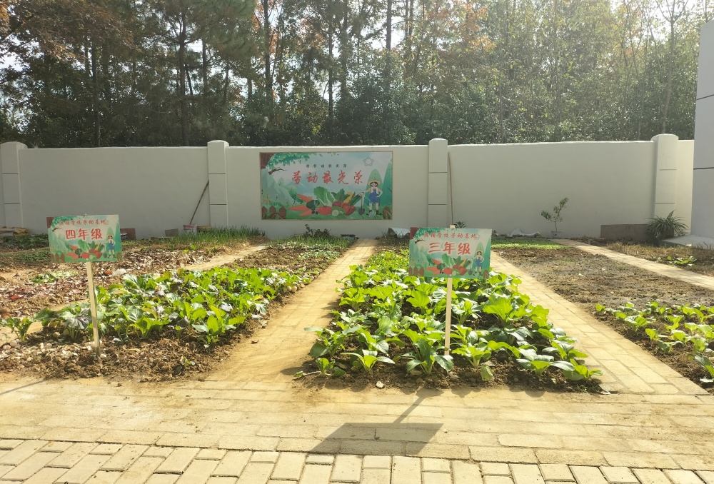 /uploads/image/2024/11/19/55eef93f969088af4aba5de67e8600a0.jpg 新竣工的劳动基地图片(1).jpg