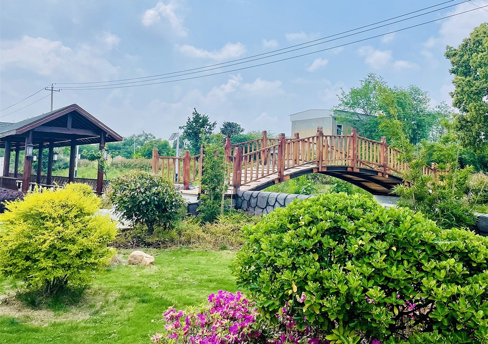 /uploads/image/2024/11/19/e8d76a02ce07f599c723ebfc56cbd513.jpg 5.jpg