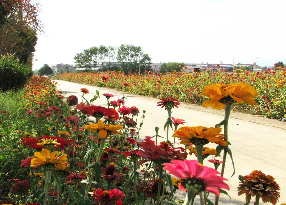 /uploads/image/2024/11/21/afa5e6f1c8e755afca50f0e22a57b24b.jpg 10.jpg