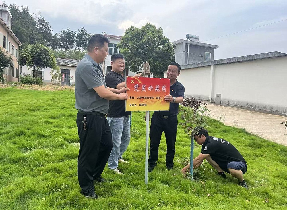 /uploads/image/2024/11/21/b7fe3f294d337eee82cb647a0edd813f.jpg 3.jpg