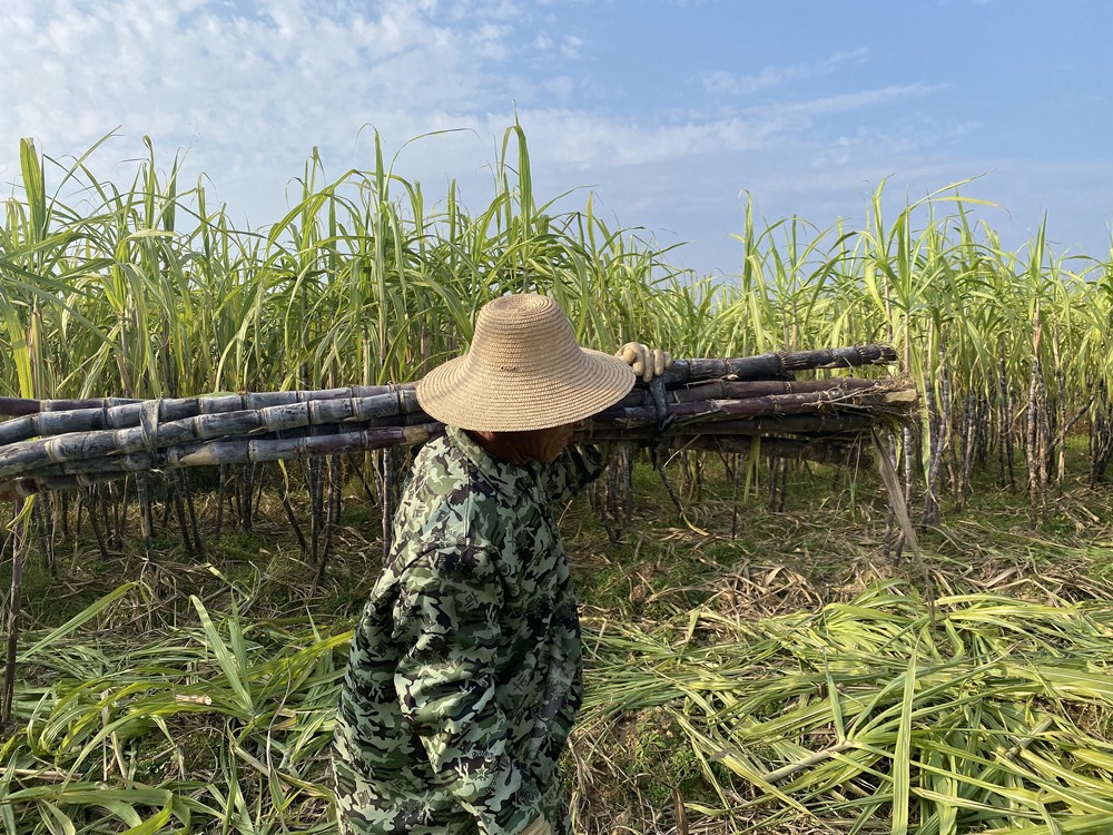 /uploads/image/2024/11/22/fcf8ea245ed0acee81751b311abc548d.jpg 4.jpg