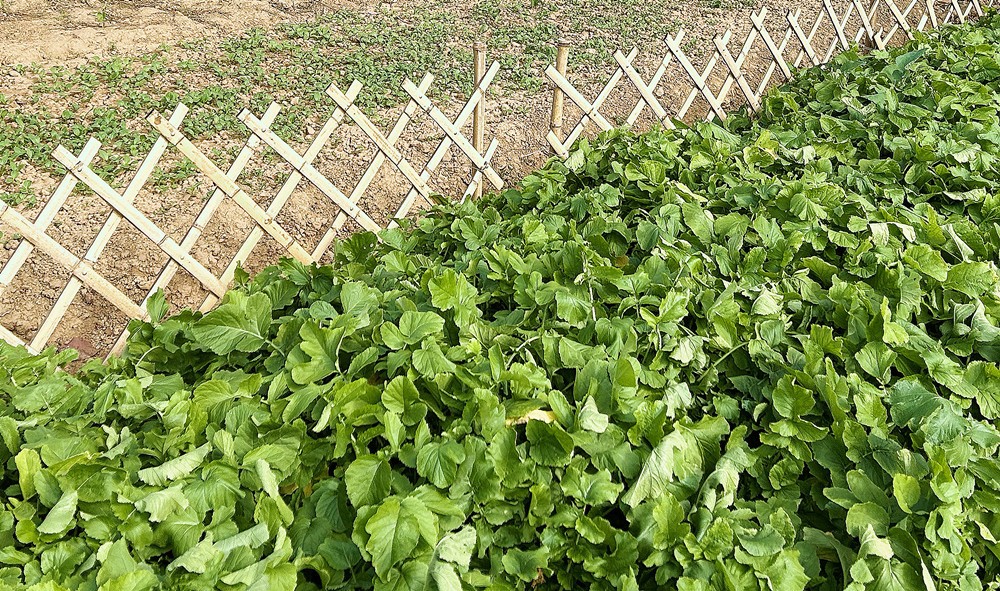 /uploads/image/2024/12/02/b98d1b040da9ea82abdd8d53bc73718e.jpg 3.jpg