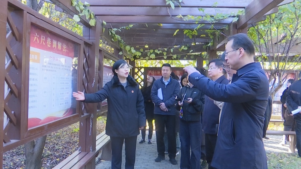 /uploads/image/2024/12/02/a341bacf0791b99f2f06f0eeec121383.jpg 2024年度“政法综治江淮行”宣传采访活动安庆站走进桐城6.jpg