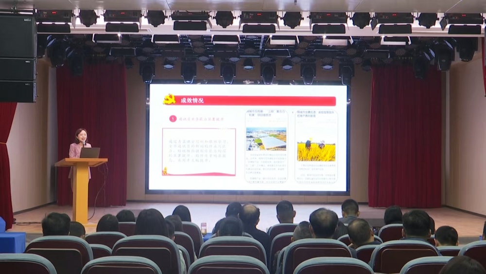 桐城市举办2024 年度市直机关党建“书记项目” 路演评审会2.jpg