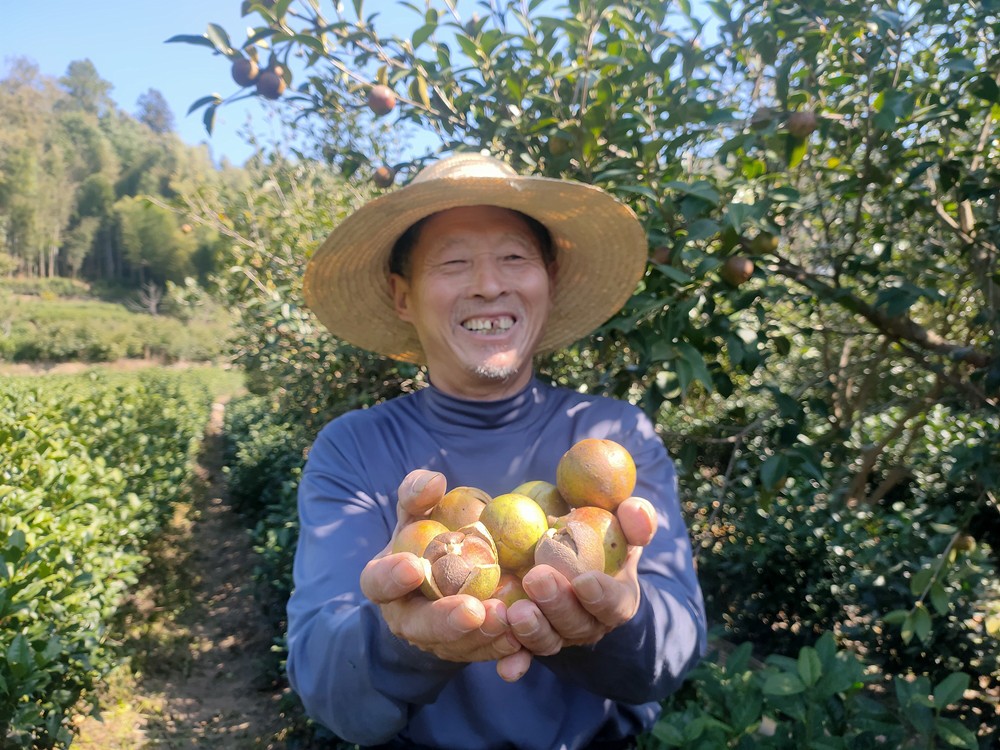 /uploads/image/2024/12/12/01e414d82b3895afec81441b391c22e8.jpg 1.jpg