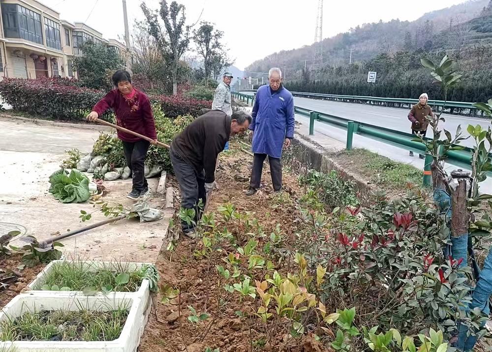 /uploads/image/2024/12/12/d044ceee2c5a40acea98ae9e23ae941c.jpg 2.jpg