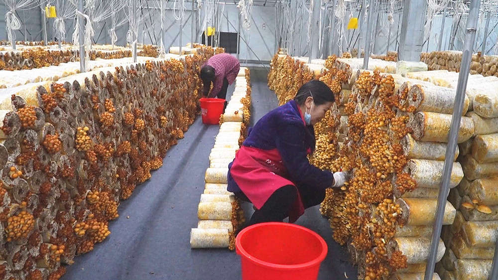 /uploads/image/2024/12/16/1660d0d5f5c52910e7522744bee51947.jpg 1.jpg